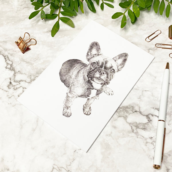 Valentine's Day French Bulldog Letterbox Gift